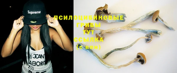 крисы Семёнов