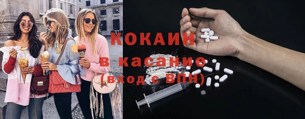твердый Алзамай