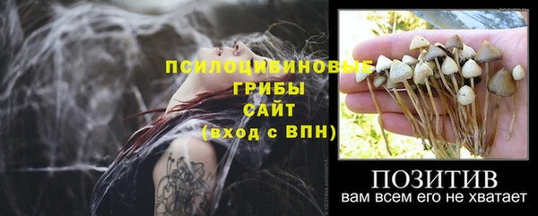сатива Алексеевка