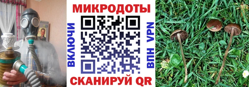 Псилоцибиновые грибы GOLDEN TEACHER  Десногорск 