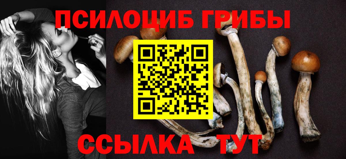 Галлюциногенные грибы прущие грибы Десногорск