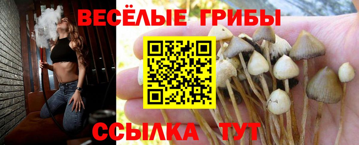 Галлюциногенные грибы Magic Shrooms  Вход с VPN  Десногорск  Галлюциногенные грибы GOLDEN TEACHER 